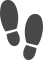 Global Case Management System notes